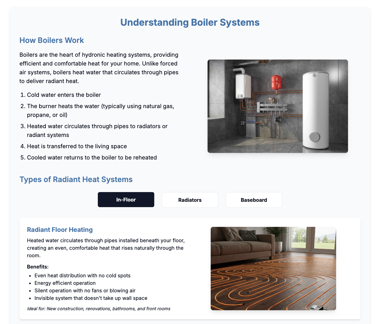 Boiler & Radiator Solutions